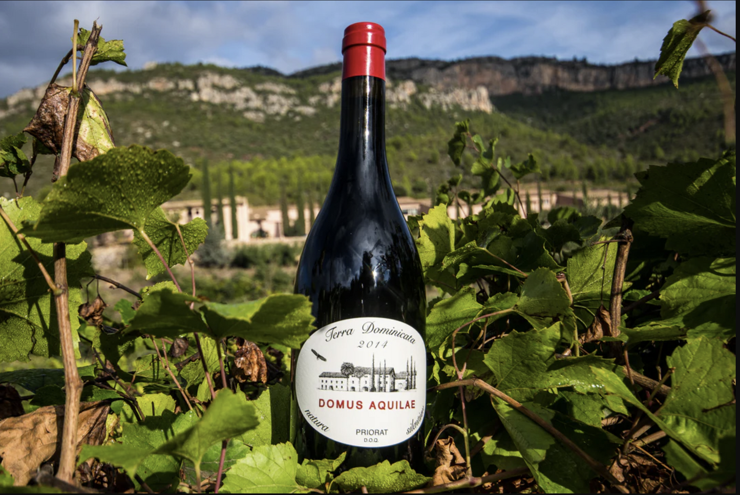 Terra Dominicata Domus Aquilae 2019 (750ml)