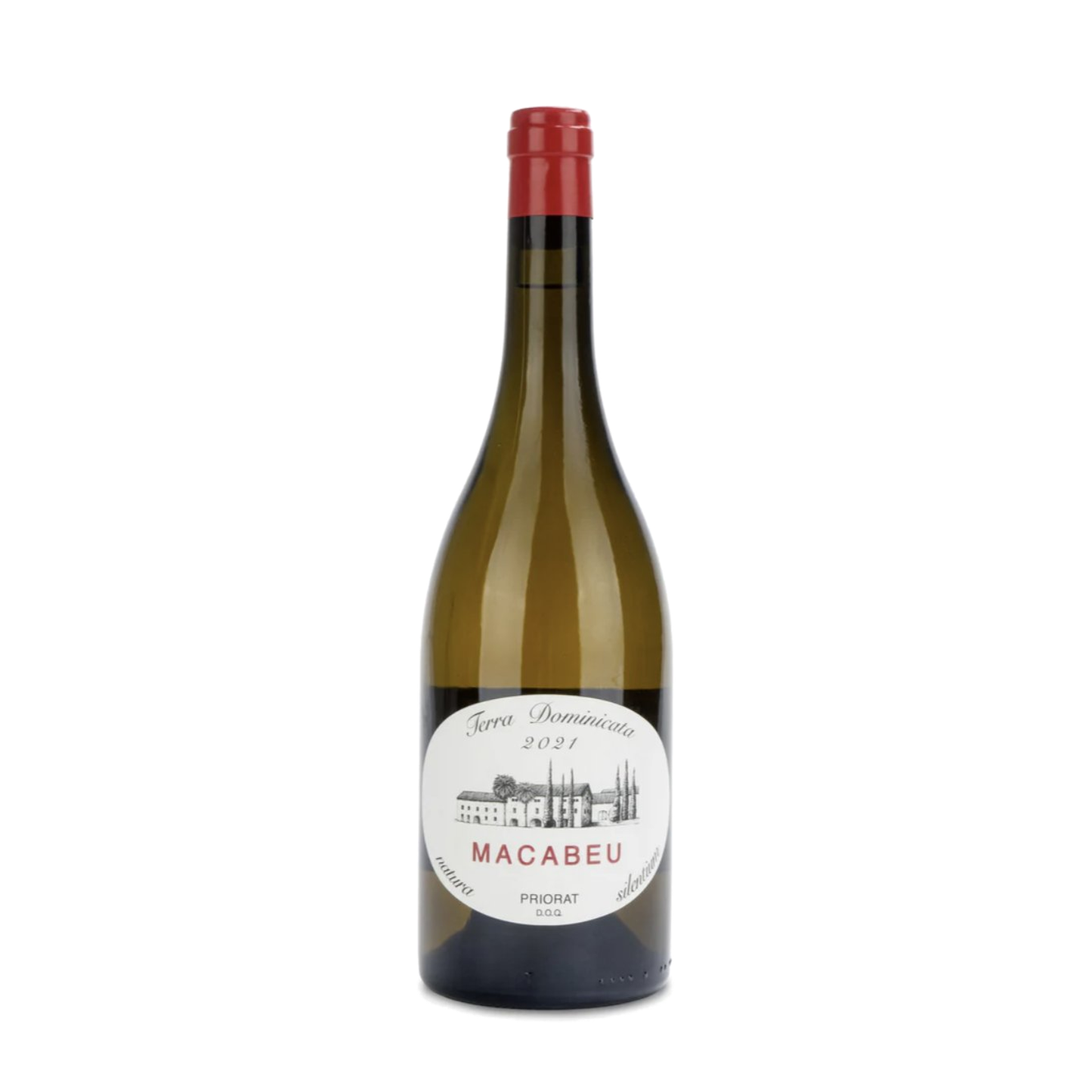 Terra Dominicata Macabeu 2024 (750ml)